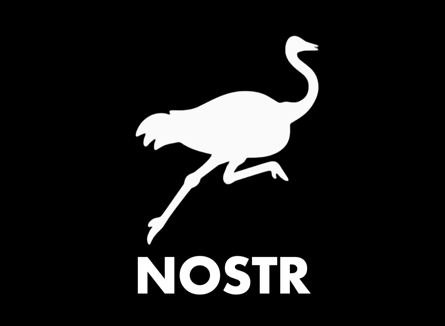 همه چیز درمورد پروتکل Nostr