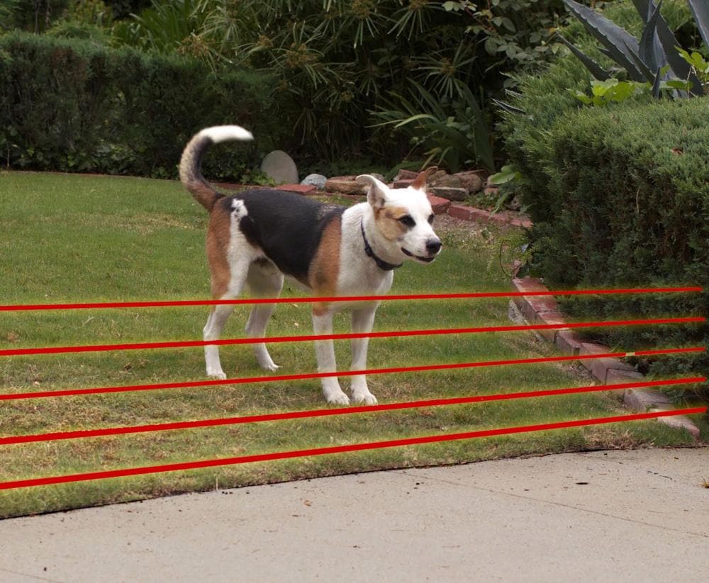 Ultrasonic Fense: راه‌حل نوین برای جلوگیری از فرار حیوانات